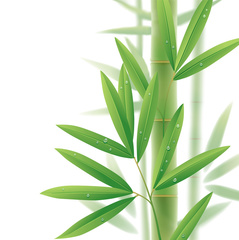 bamboo_leaves